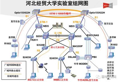 【技术】各种大学校园网络拓扑图